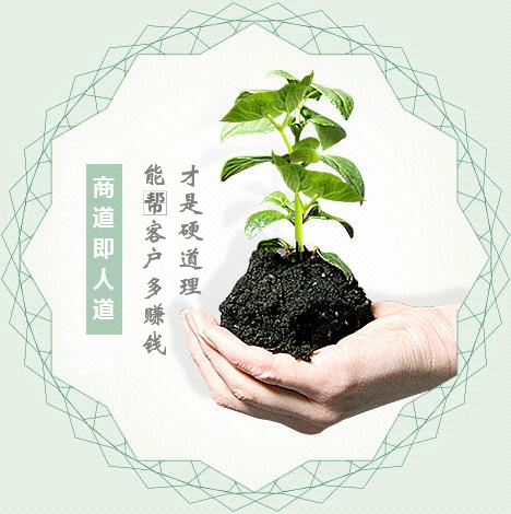 蔬菜種子經營，商道即人道